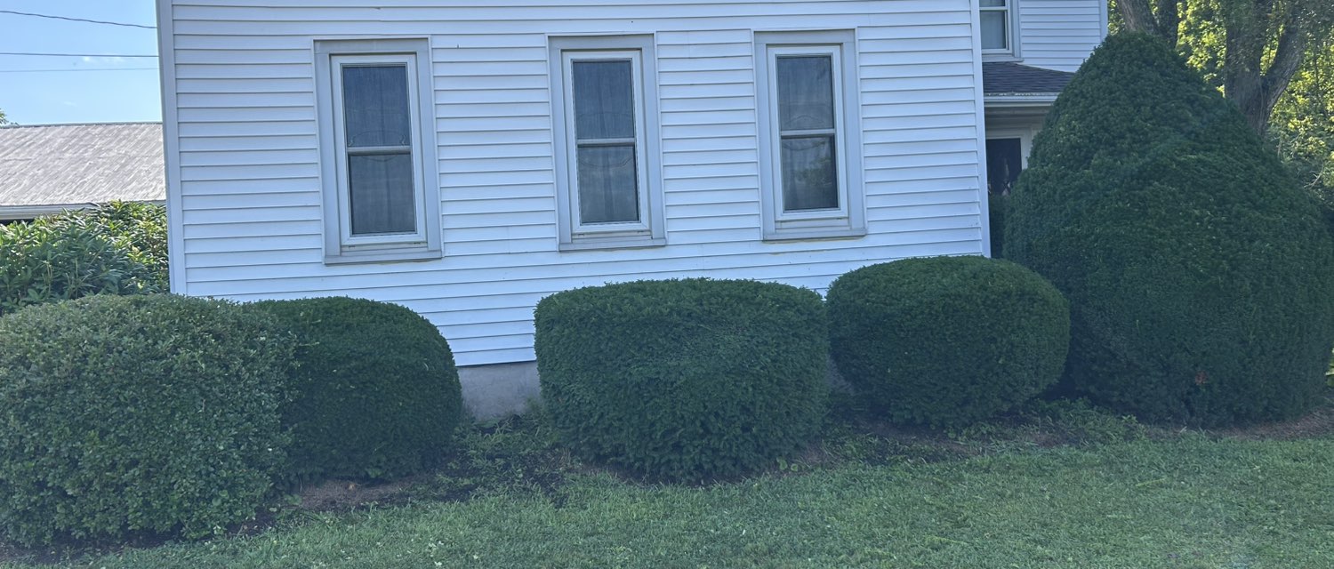 Shrub trimming service in Bloomsburg Pennsylvania