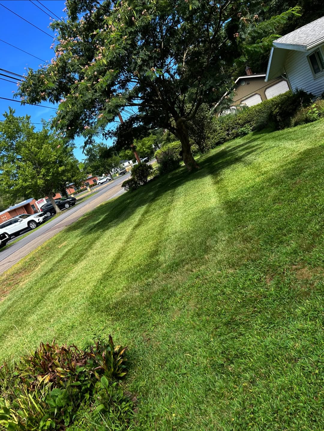 Custom lawn care quote and walkthrough in Bloomsburg PA